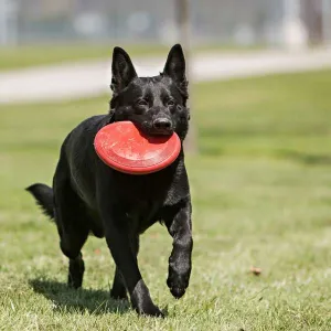 KONG Flyer Frisbee Red