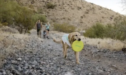 Ruffwear Camp Flyer Toy